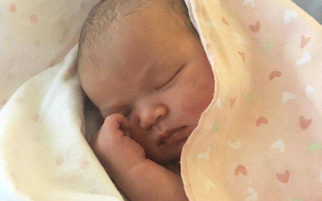 New addition to the family has arrived!